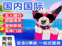 林芝米林机场物流国际宠物托运 【国